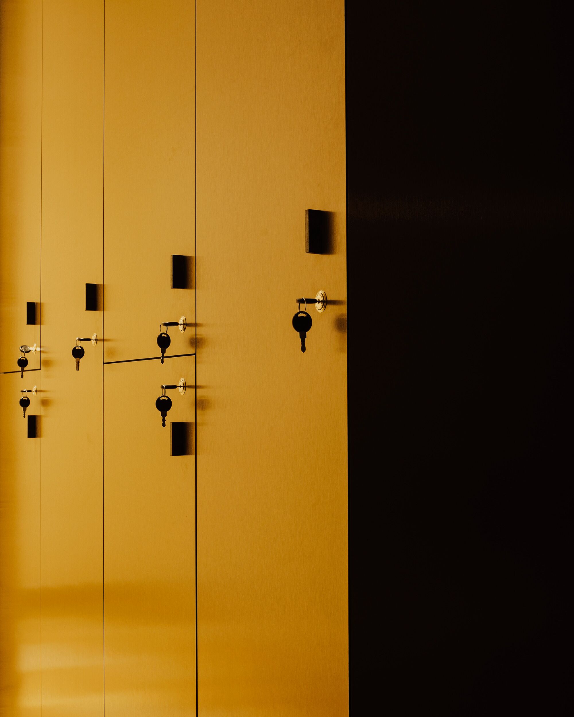 A set of doors with keys and locks, indicating a secure entry system.