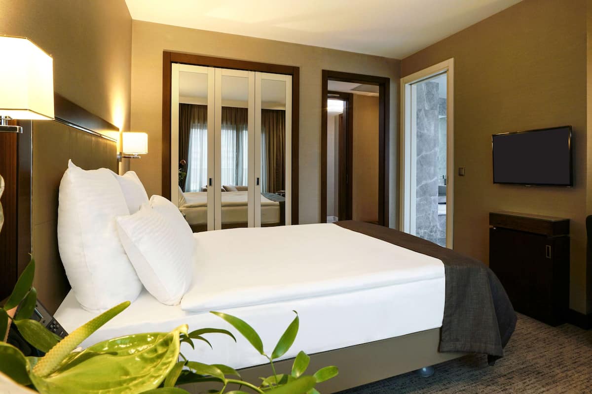 A hotel room with a large bed, a desk, a television, and a mirror.
