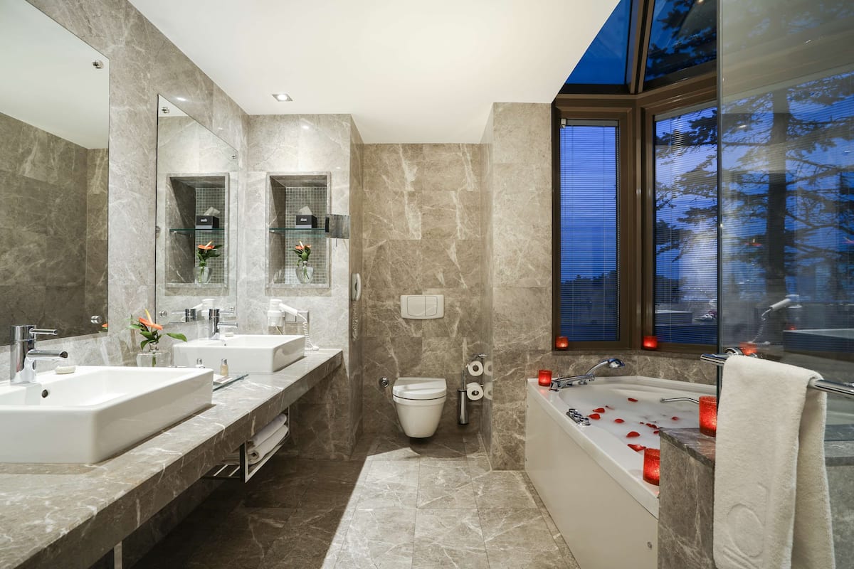 shower, rainfall showerhead, free toiletries, hair dryer