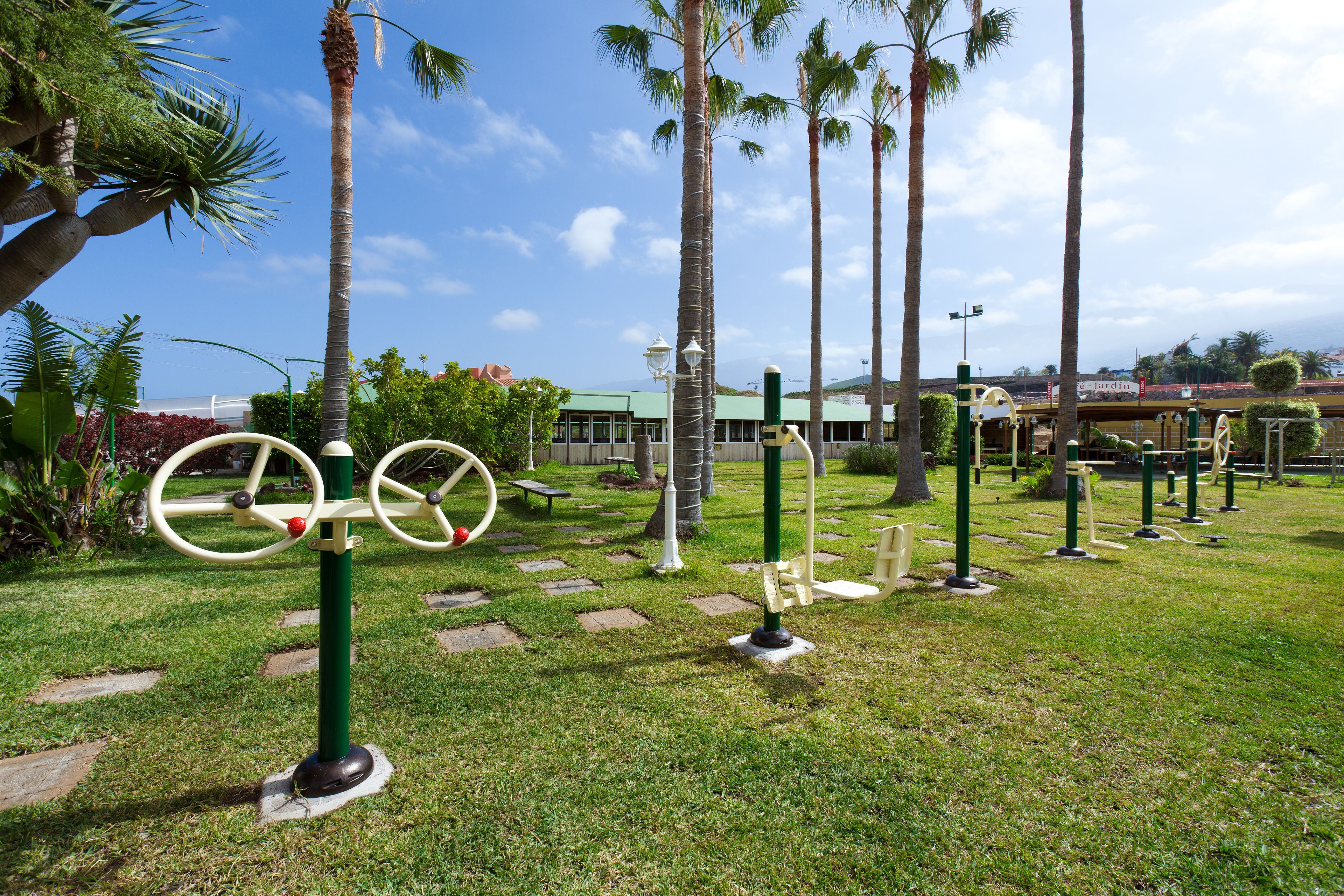 A park with exercise equipment, palm trees, and a building in the background.