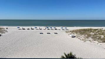 Studio, One Queen and One Sofa Bed, Beachfront | View from room