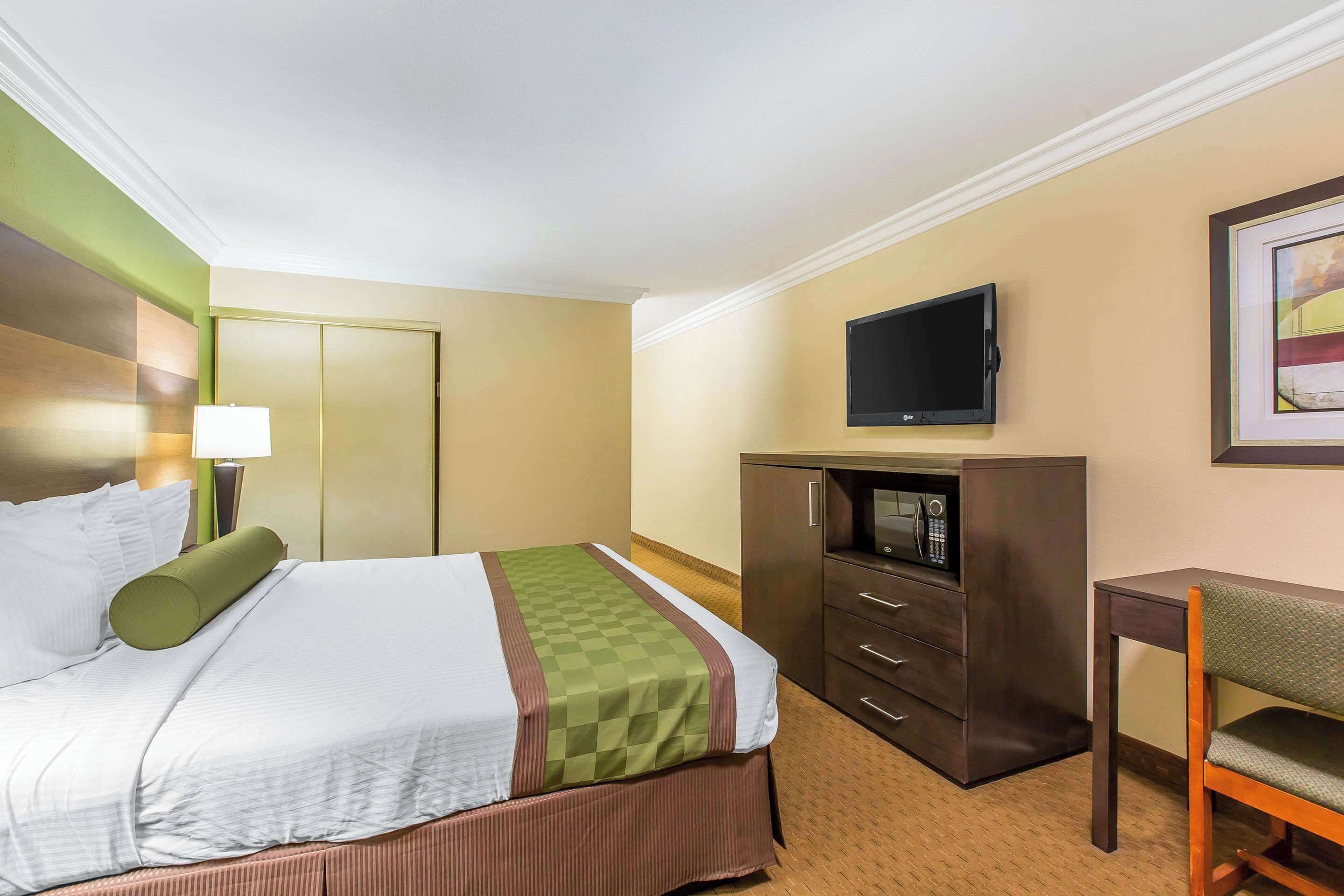A hotel room with a bed, a desk, a television, and a microwave.