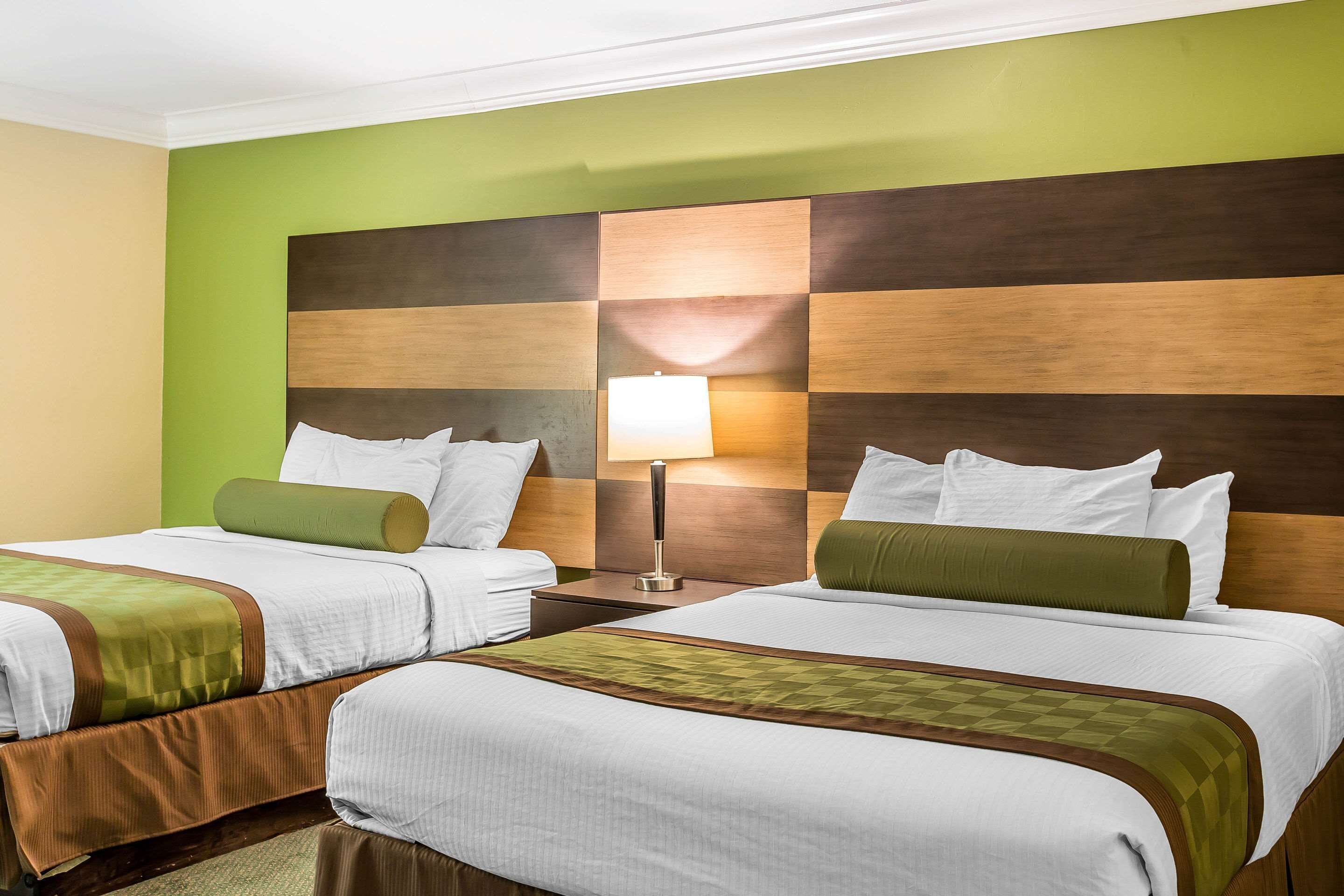 办公桌、熨斗/熨板、免费 WiFi、床单