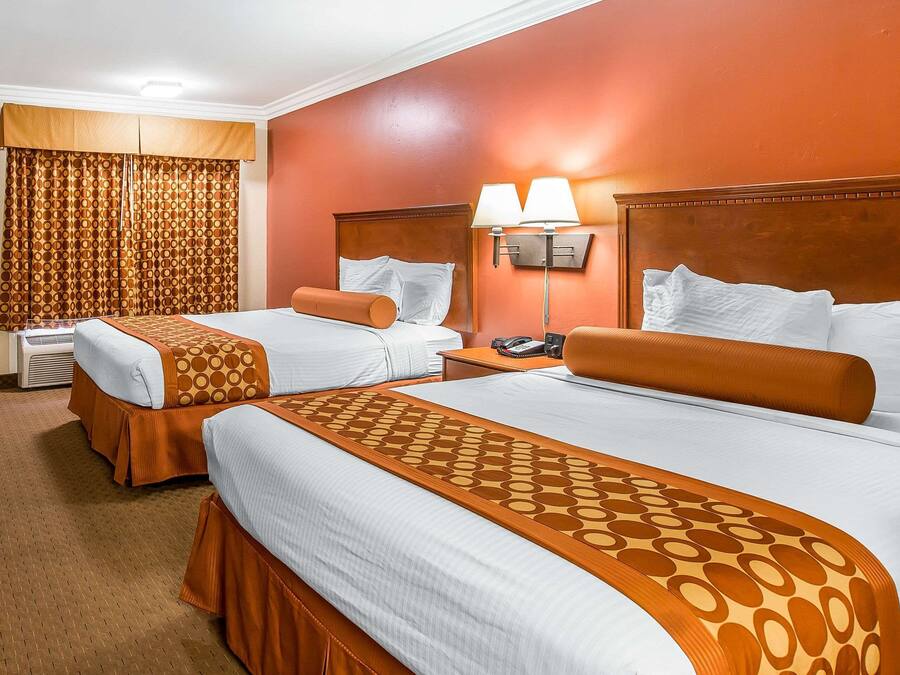 A hotel room with two beds, a large window with curtains, a bedside table with a lamp, and a wall-mounted phone.