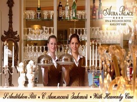 2 bares/lounges, bar de vinhos