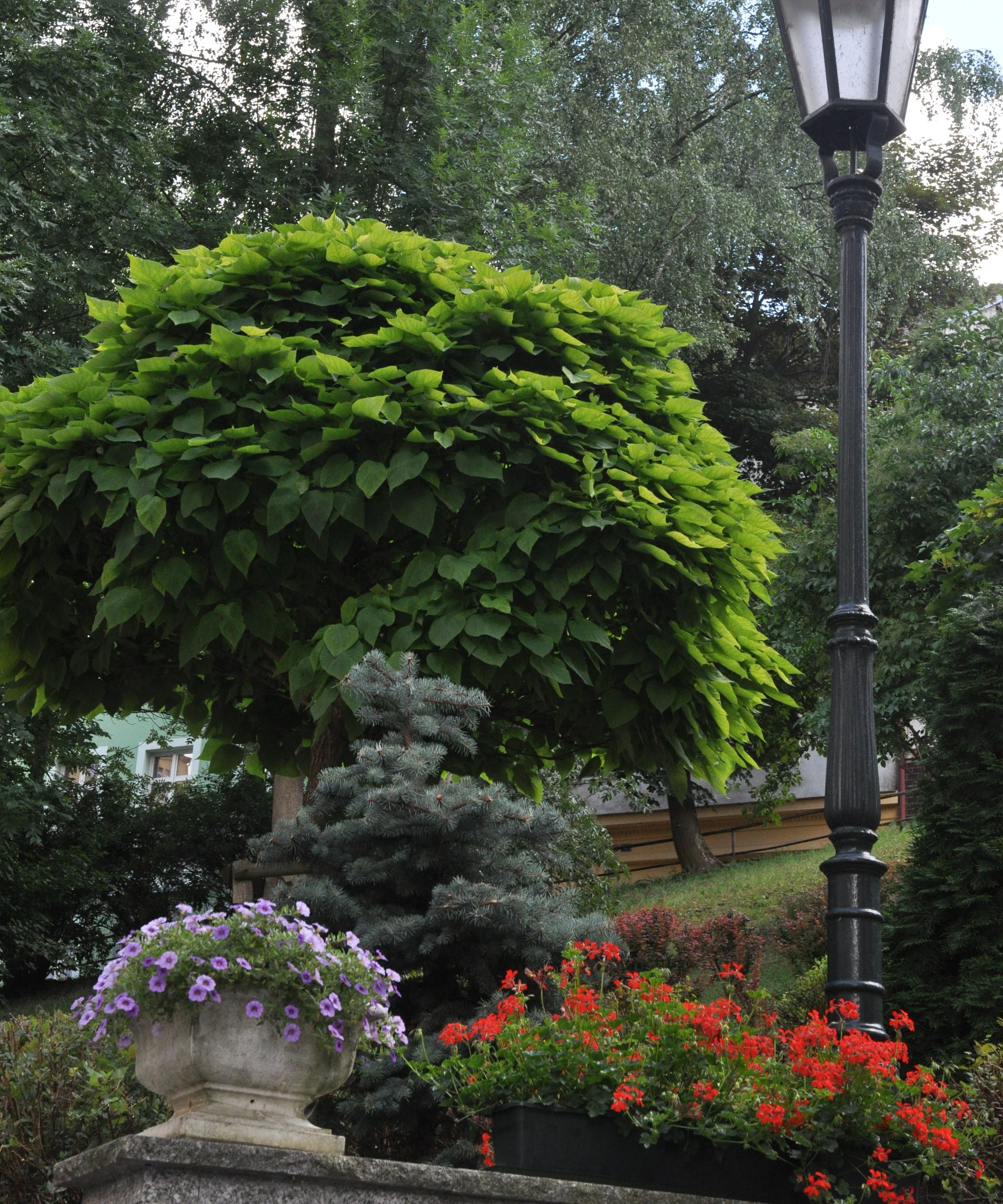 outdoor banquet area