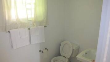 Kamar, 1 Tempat Tidur Queen, Bebas Asap Rokok | Kamar mandi | Kombinasi shower/bathtub