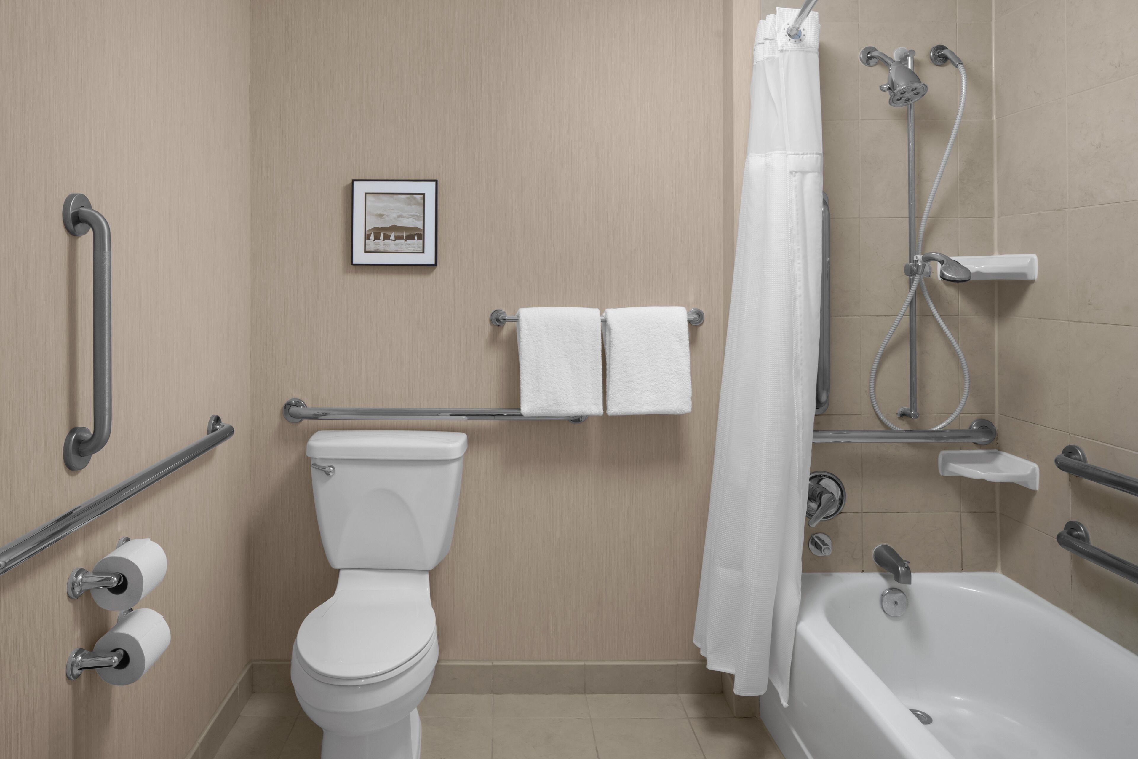 A bathroom with a toilet, a shower, grab bars, a towel rack, and a picture on the wall.