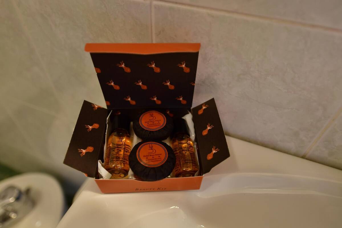 free toiletries, hair dryer, slippers, bidet