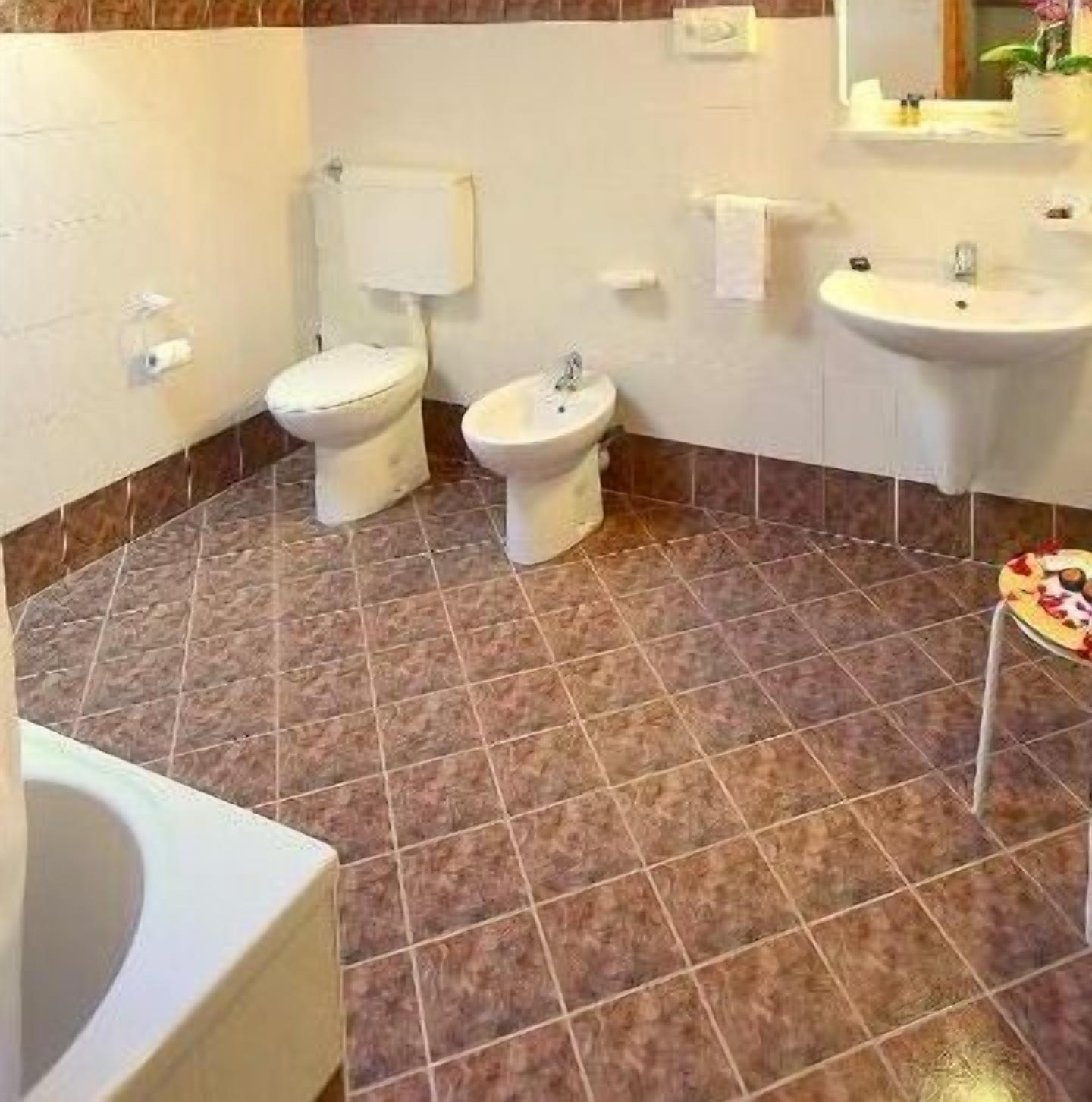 free toiletries, hair dryer, slippers, bidet