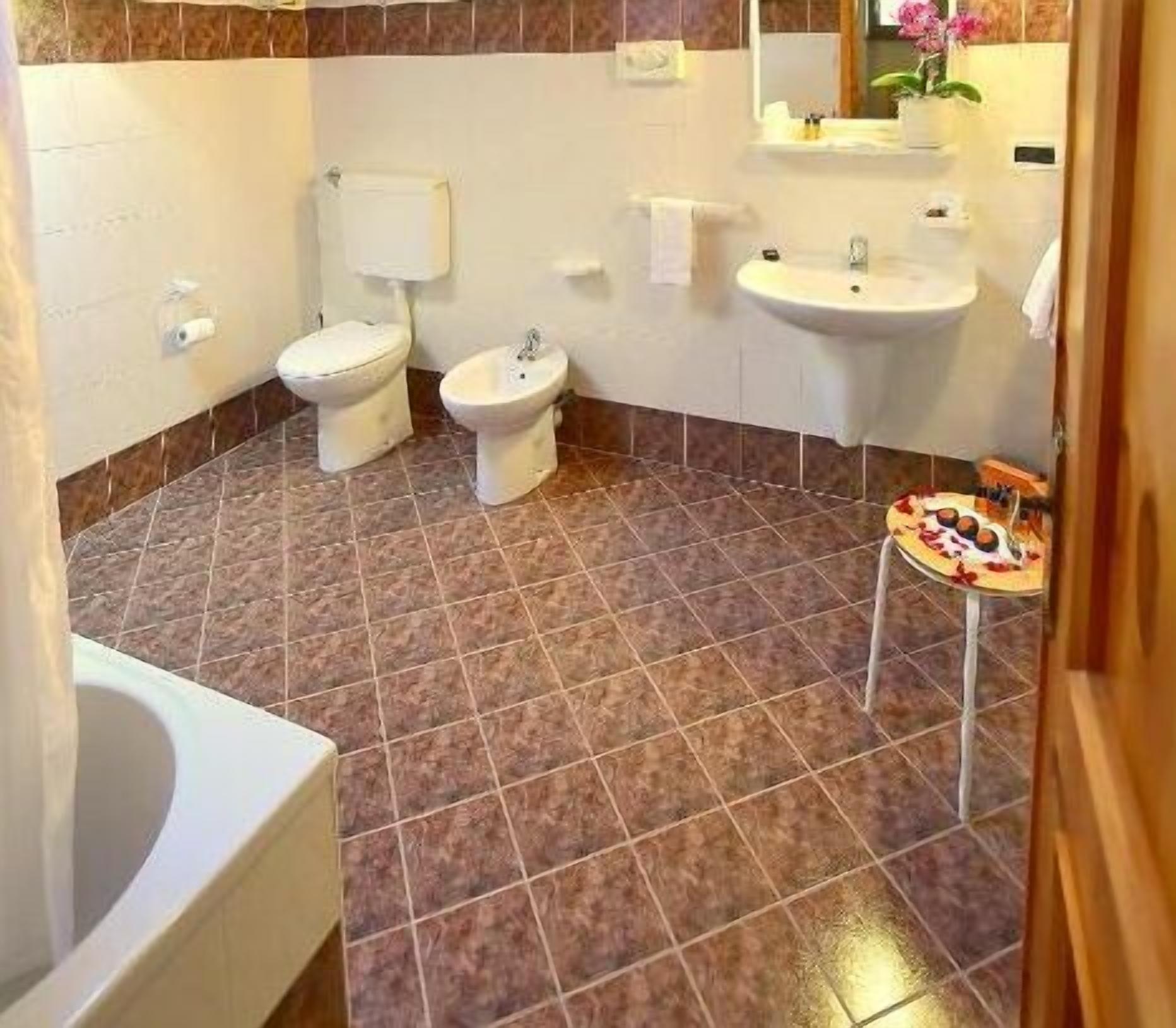 free toiletries, hair dryer, slippers, bidet