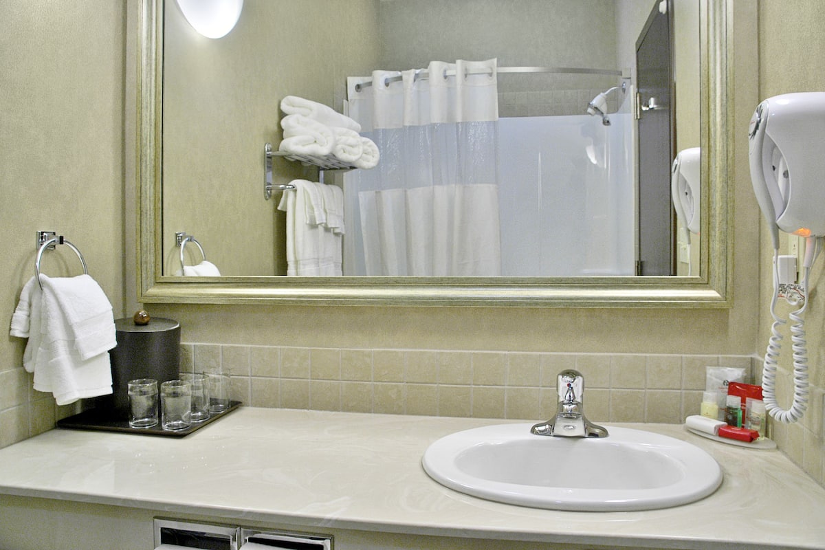 combined shower/bathtub, free toiletries, hair dryer, towels