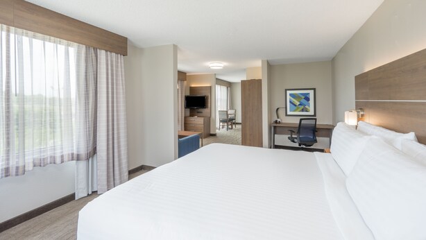A hotel room with a large bed, a desk with a chair, a television, and a painting on the wall. - Holiday Inn Express Hotel & Suites Frankfort by IHG (Frankfort)