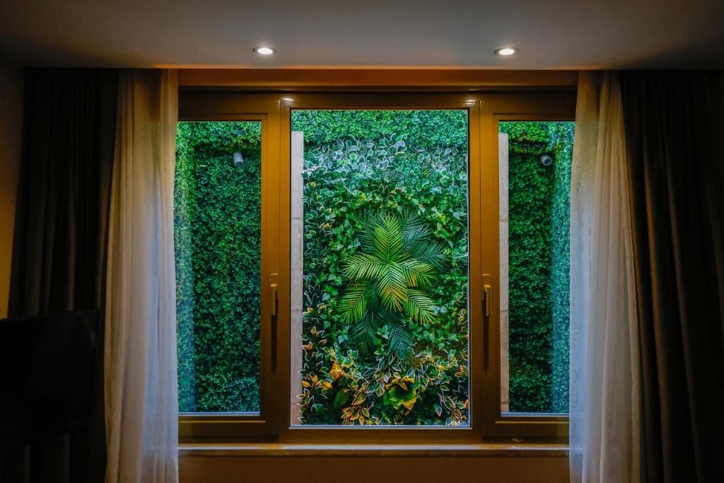 A window with a view of a lush green wall, curtains, and a ceiling light fixture.