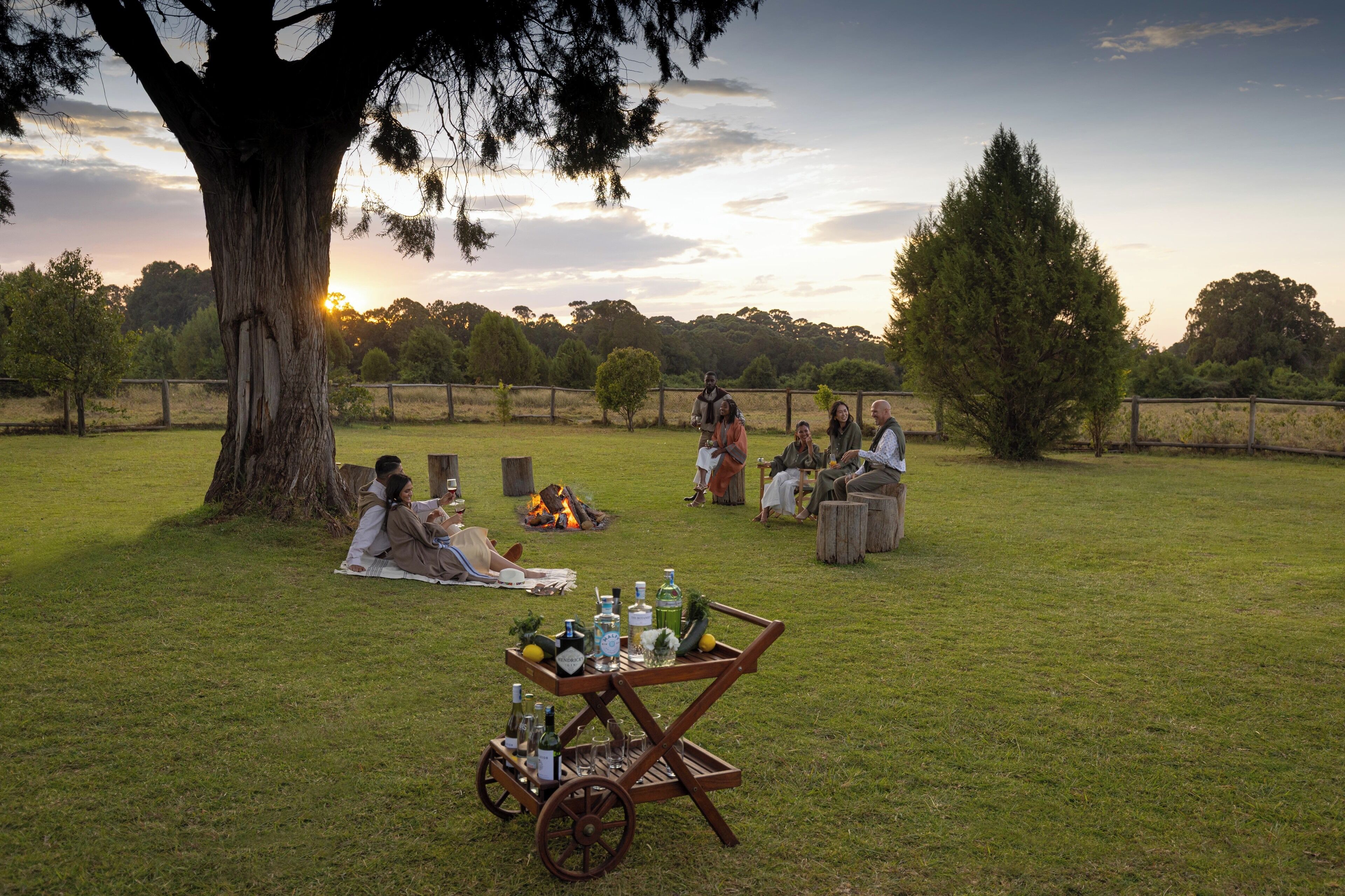 A group of people relaxing on a grassy field with a cart of bottles, a large tree, and a fence in the background.
