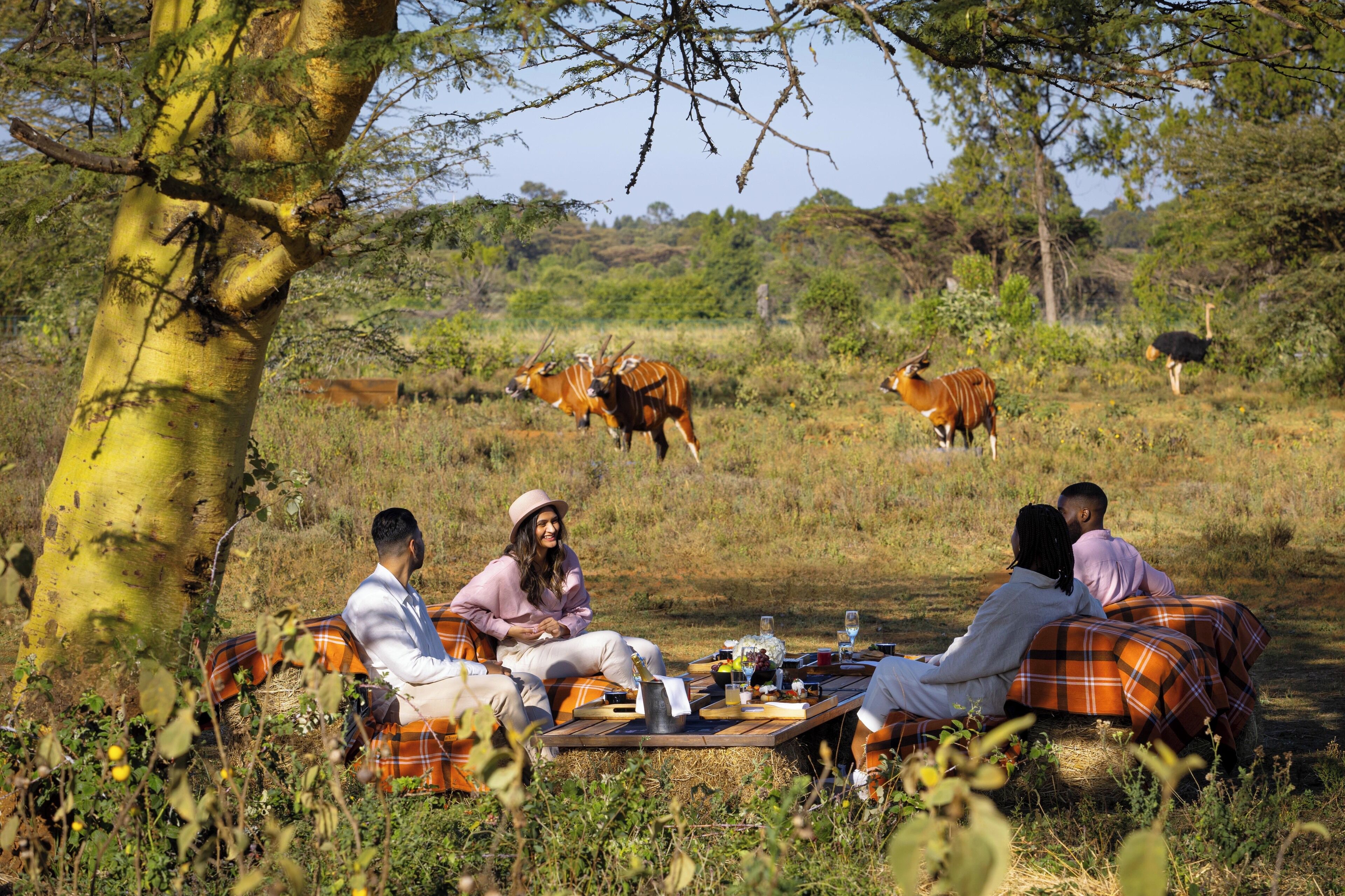A group of people sitting on a picnic blanket outdoors, surrounded by trees and wildlife.