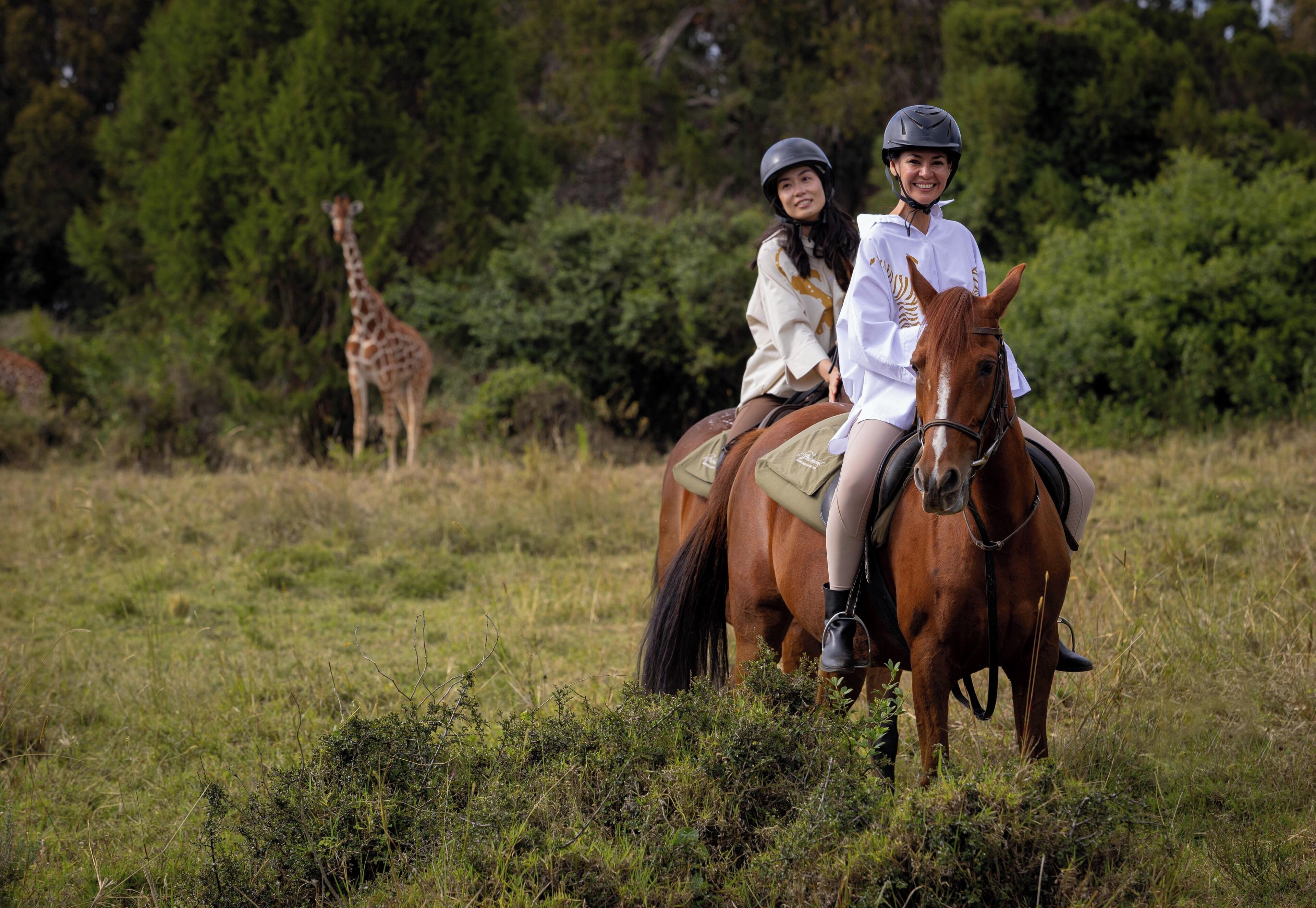 A horse and rider in a grassy field with a giraffe in the background.