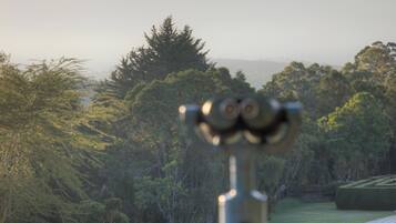 Un télescope pointé vers un paysage montagneux, avec un parc au premier plan.
