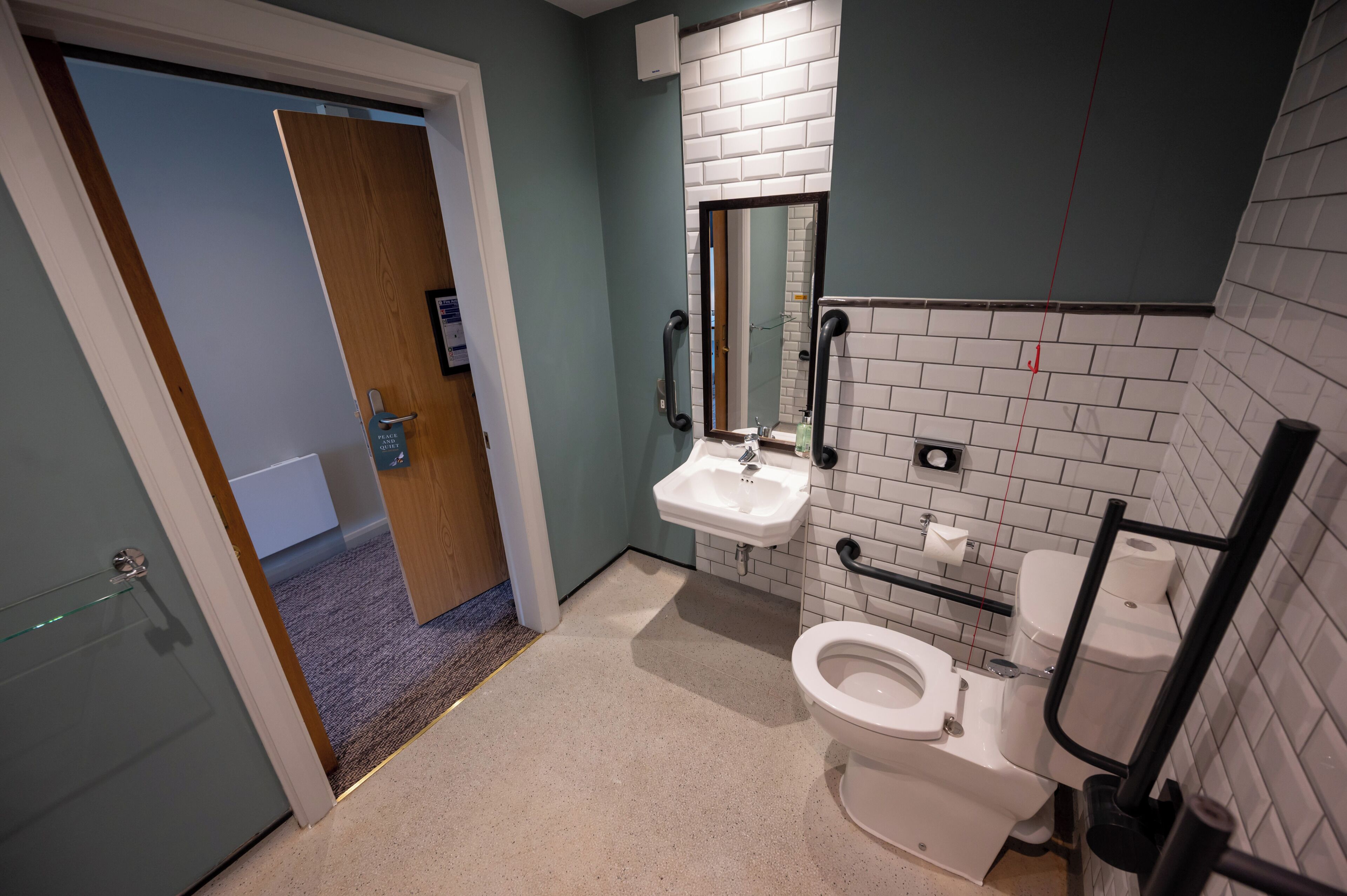 A bathroom with a white toilet, a sink, and a mirror.