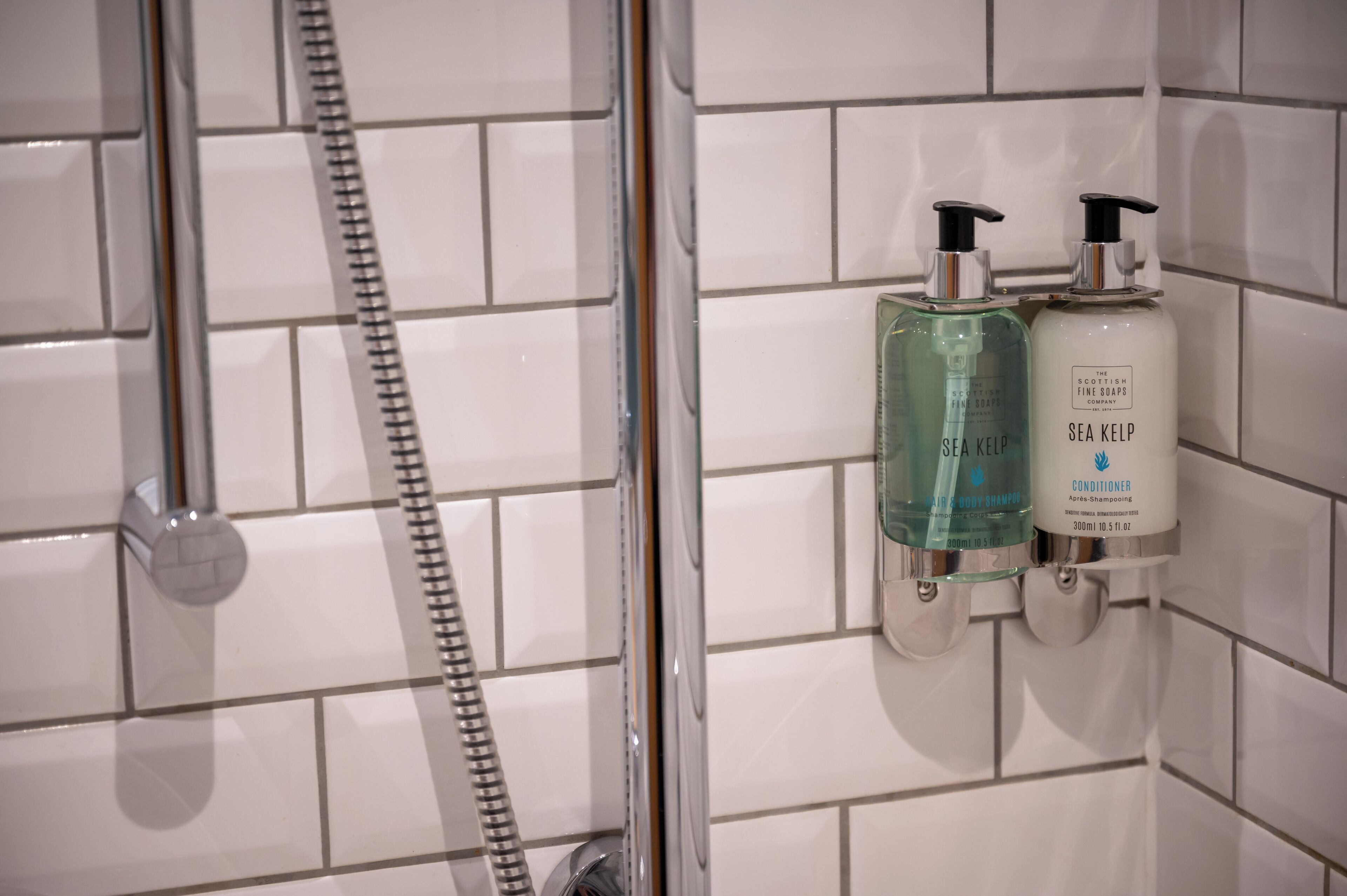 basic quadruple room, multiple beds | bathroom | shower, hair dryer, towels