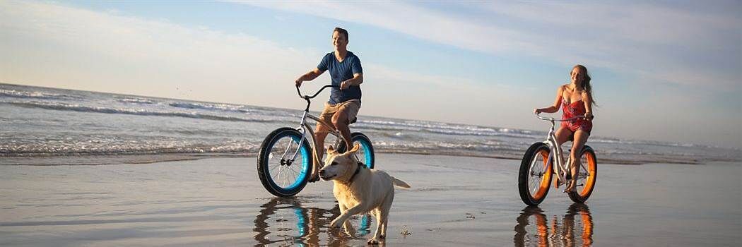 Deux personnes font du vélo sur une plage, accompagnées d’un chien qui les suit.