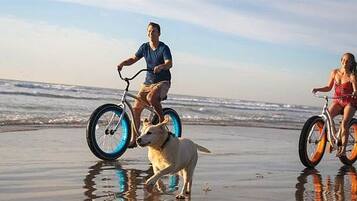 Deux personnes font du vélo sur une plage, accompagnées d’un chien qui les suit.
