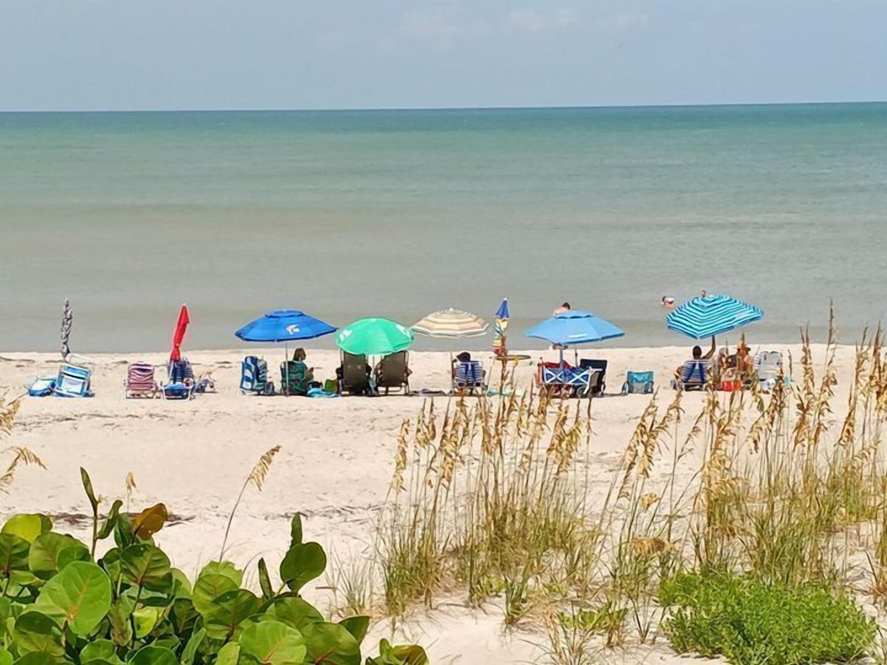 Une plage bordée de rangées de chaises longues et de parasols, une vue dégagée sur l’océan et de hautes herbes au premier plan.