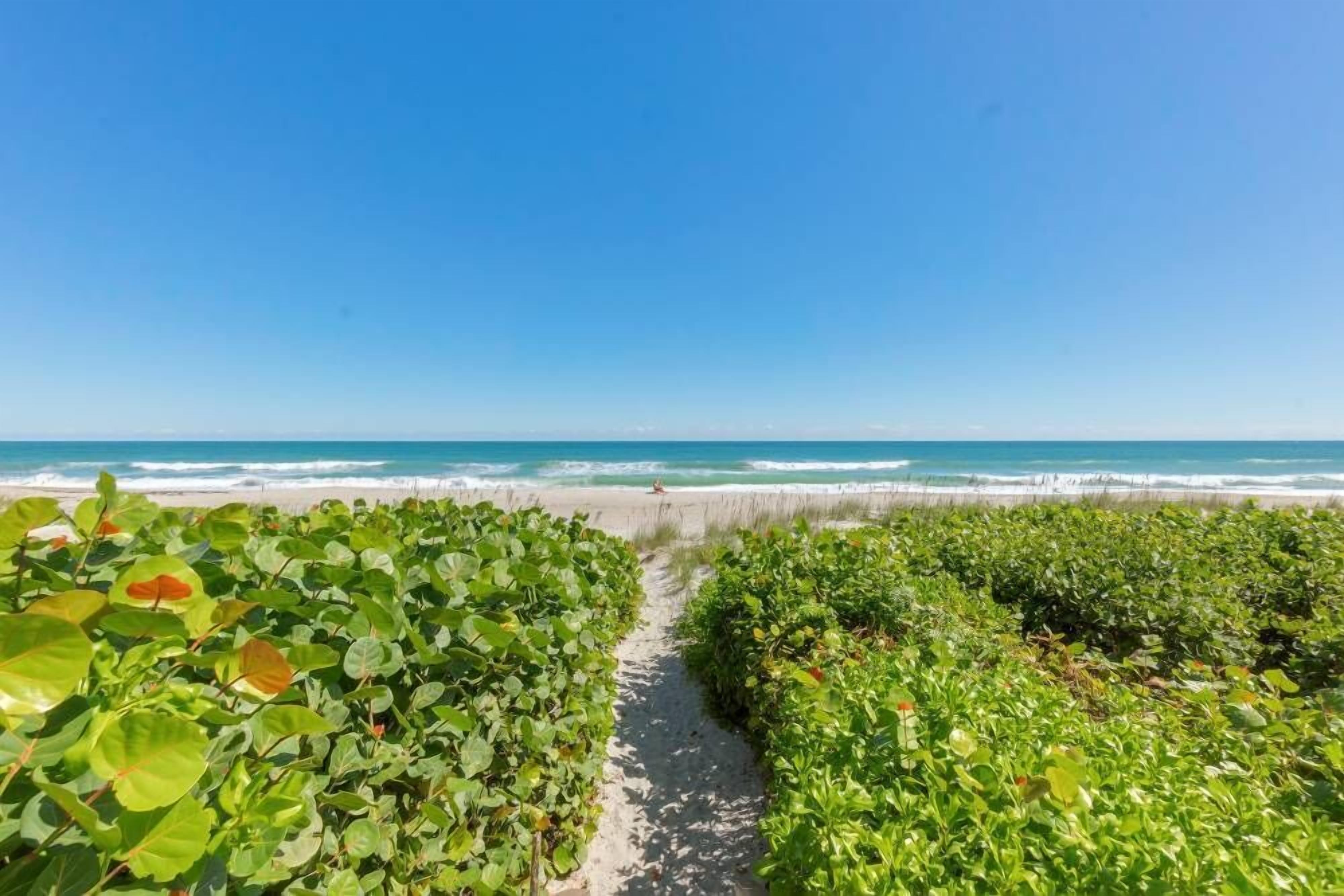 A beach path lined with green vegetation leading to the ocean.