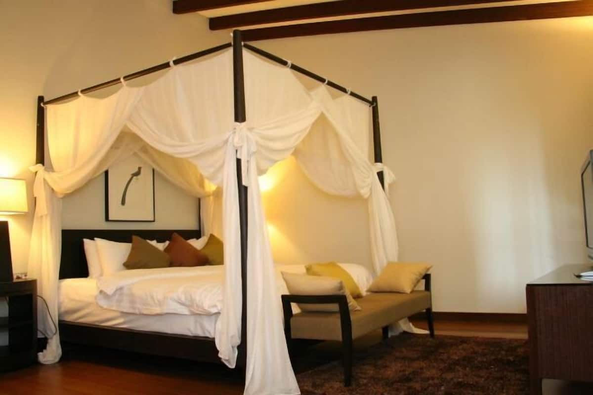 Premium bedding, in-room safe, individually decorated