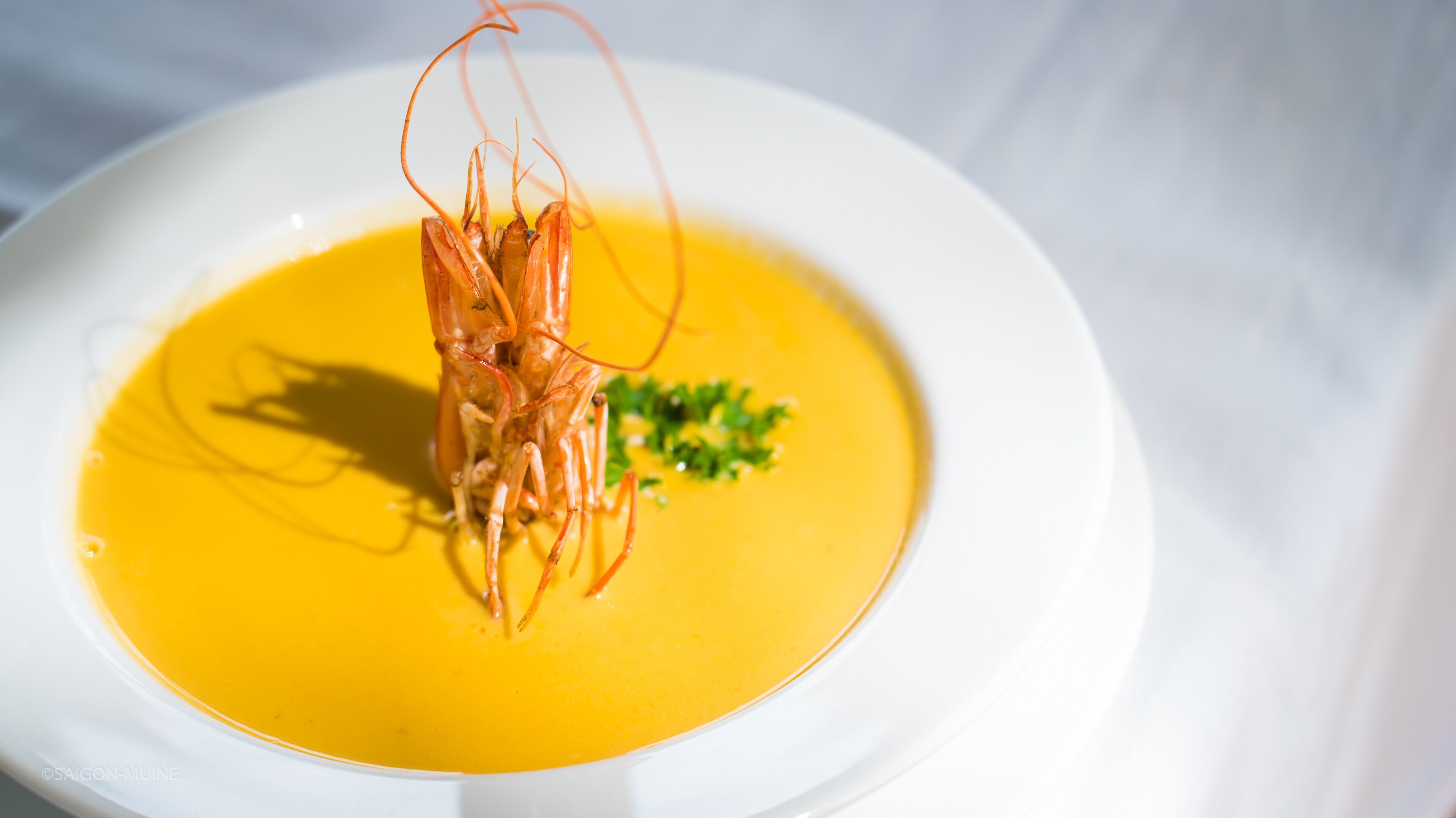 A white bowl of soup with a lobster on top, garnished with parsley.