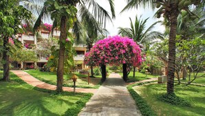 Un camino que lleva a un edificio rodeado de exuberante vegetación y palmeras.