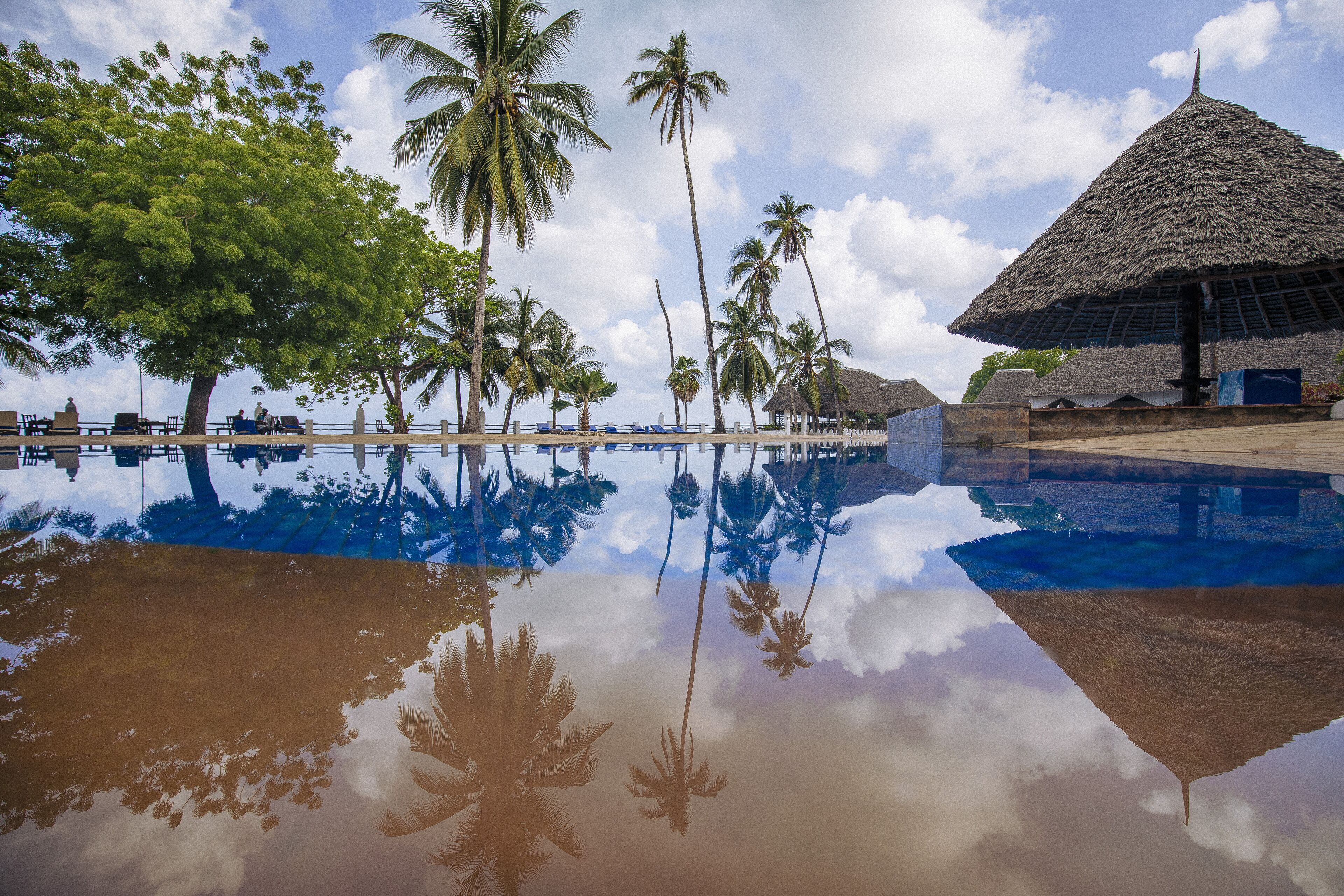 A pool reflecting palm trees and a thatched-roof structure.