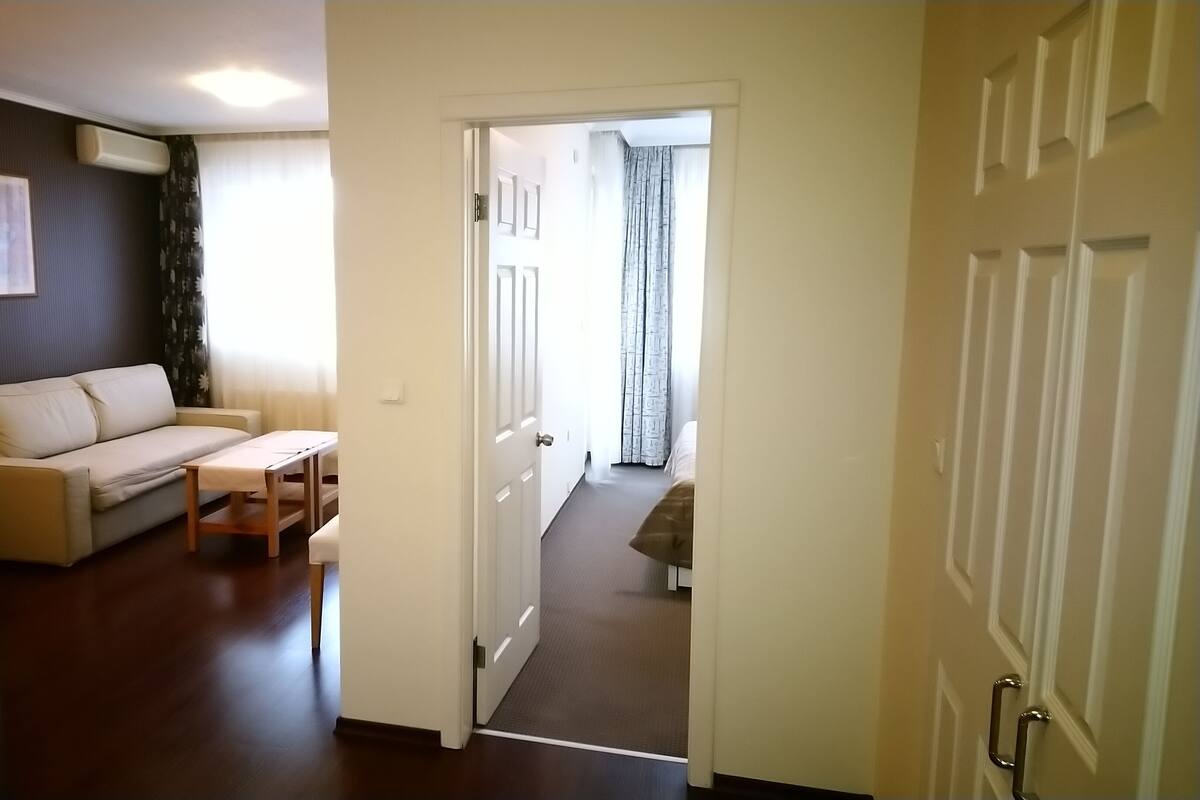Apartment, 1 Bedroom, Kitchenette | Minibar, desk, iron/ironing board, WiFi (free)