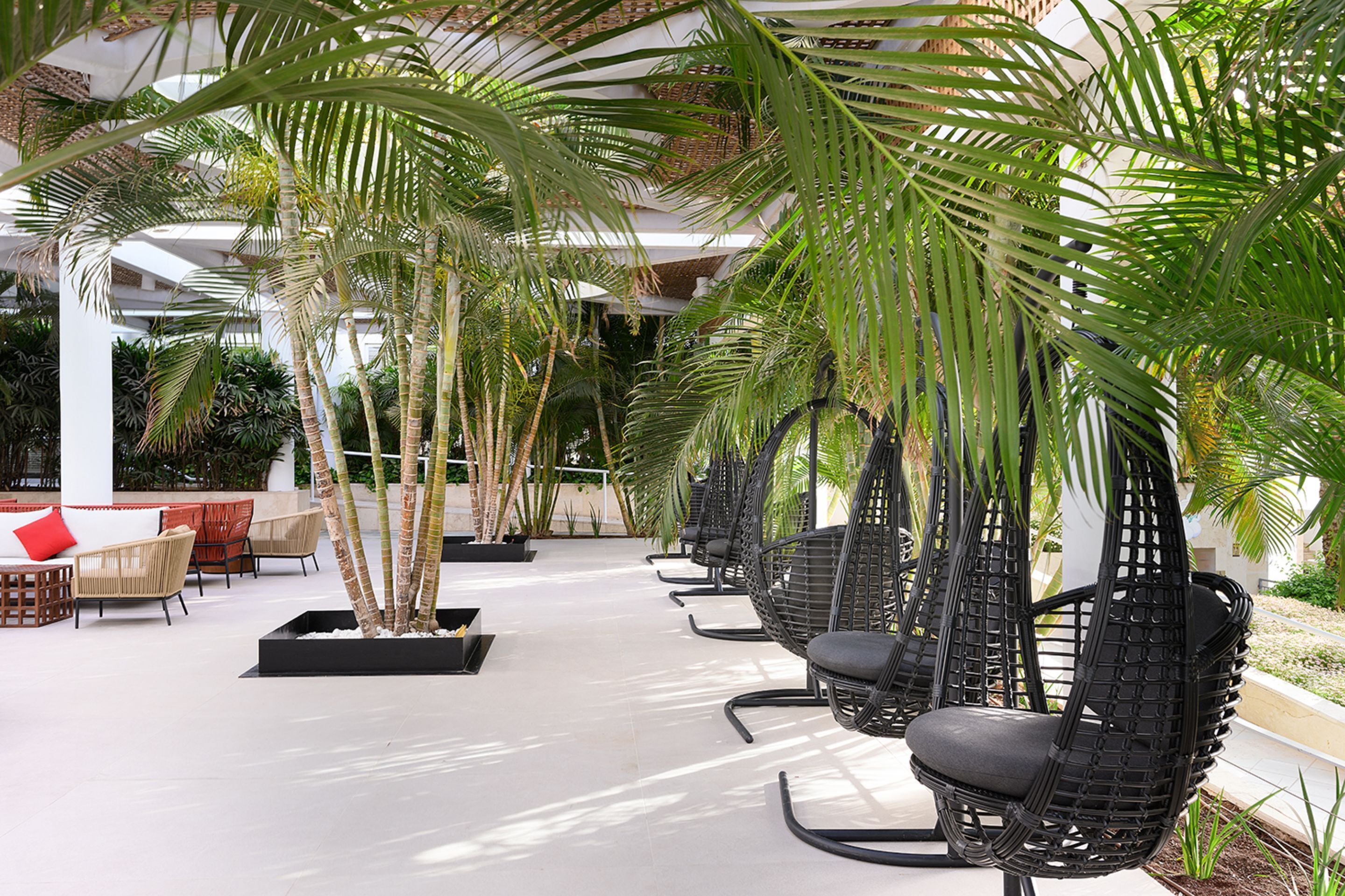 A covered outdoor seating area with wicker chairs and sofas, surrounded by tall palm trees.
