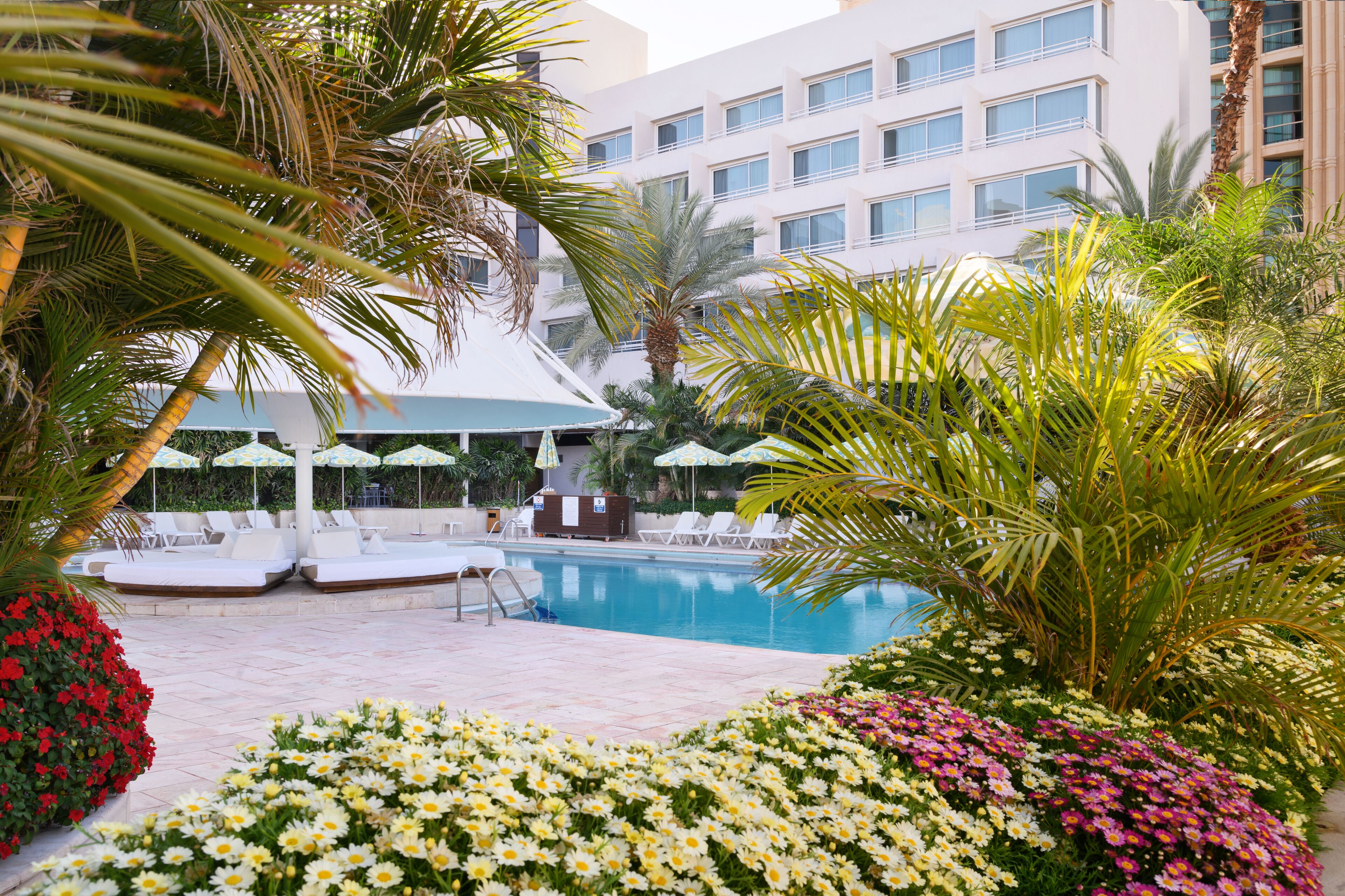 outdoor pool, pool umbrellas, pool loungers