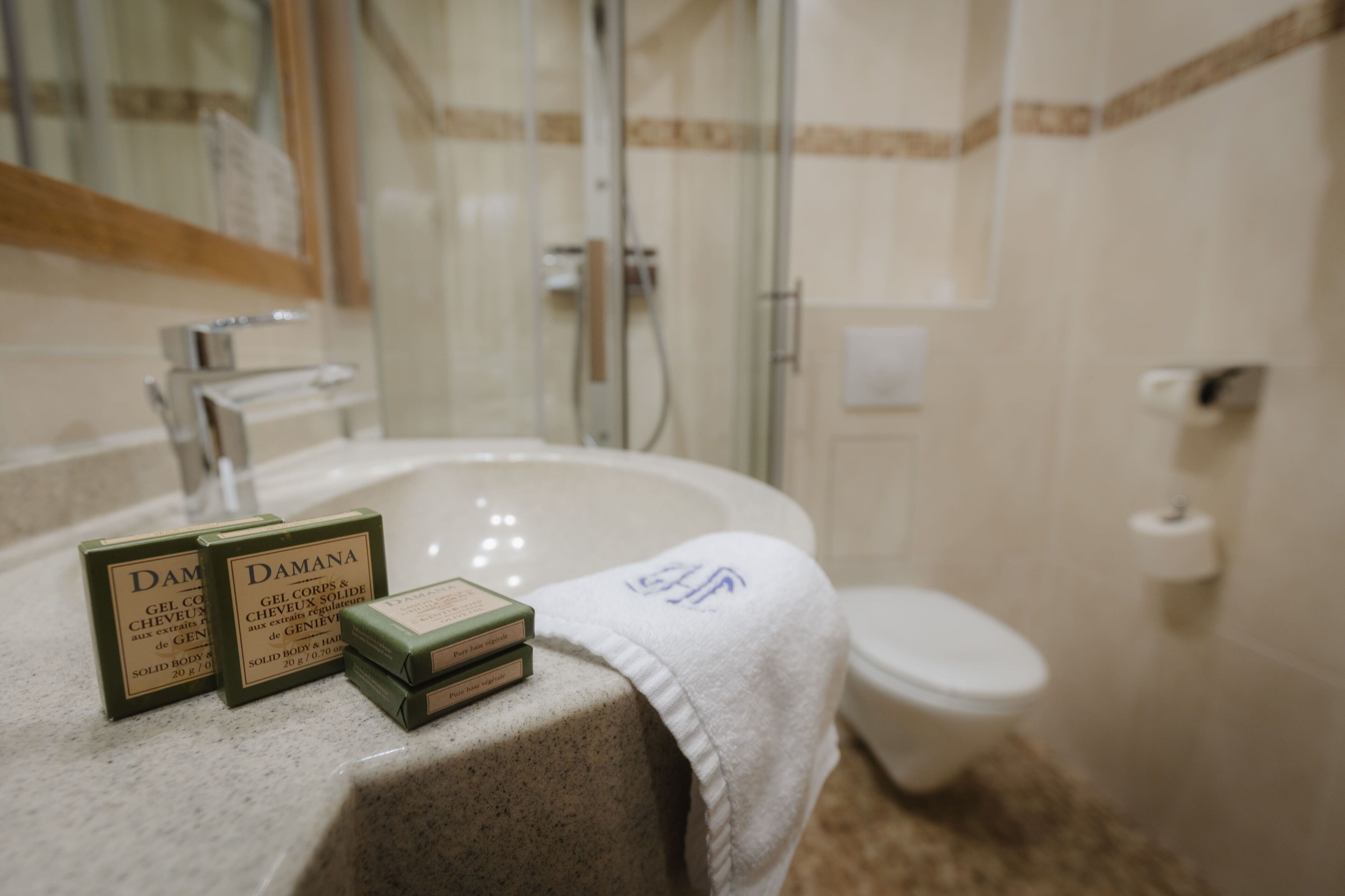 hydromassage showerhead, free toiletries, hair dryer, towels