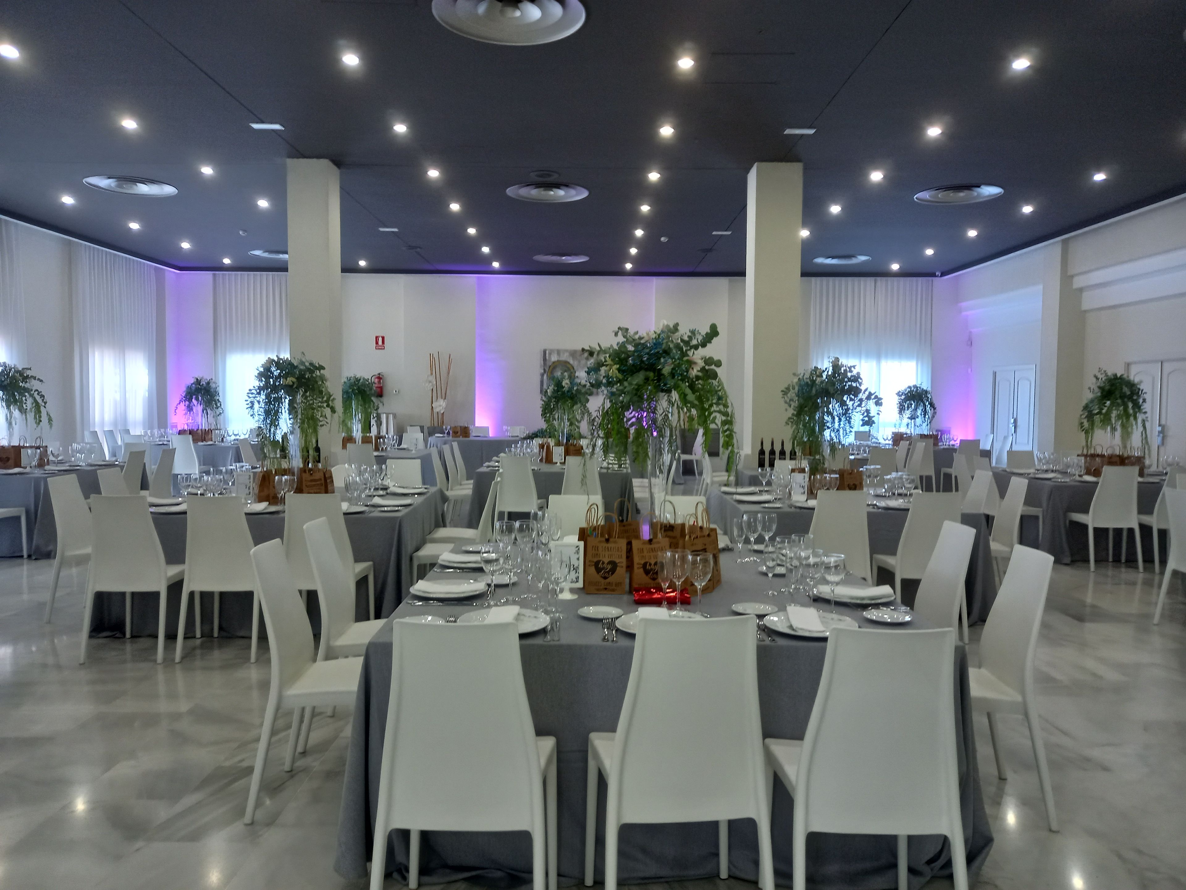 A banquet hall with tables set for dining, white chairs, and potted plants.
