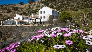 Jardín