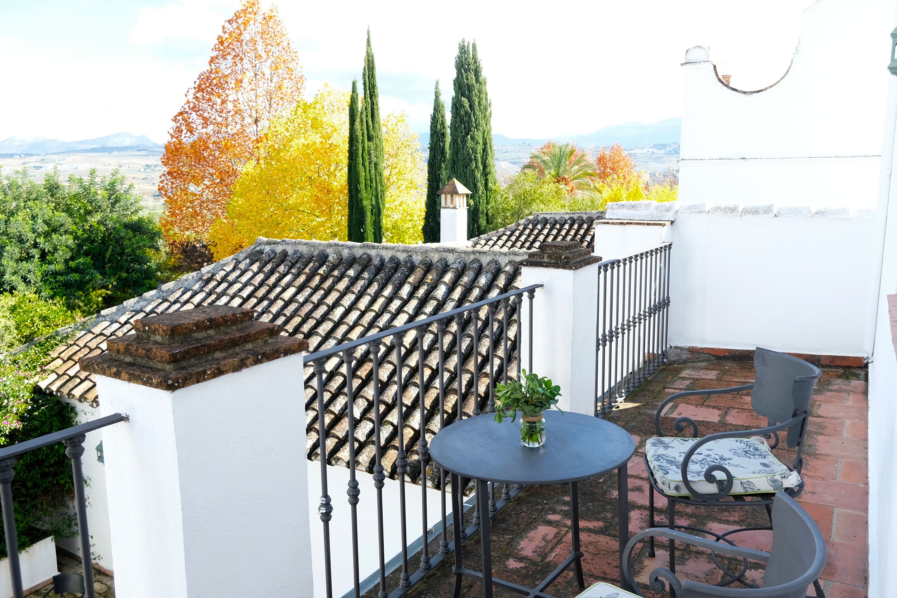 Una terraza con techo de tejas, una mesa redonda con una planta en maceta y dos sillas.