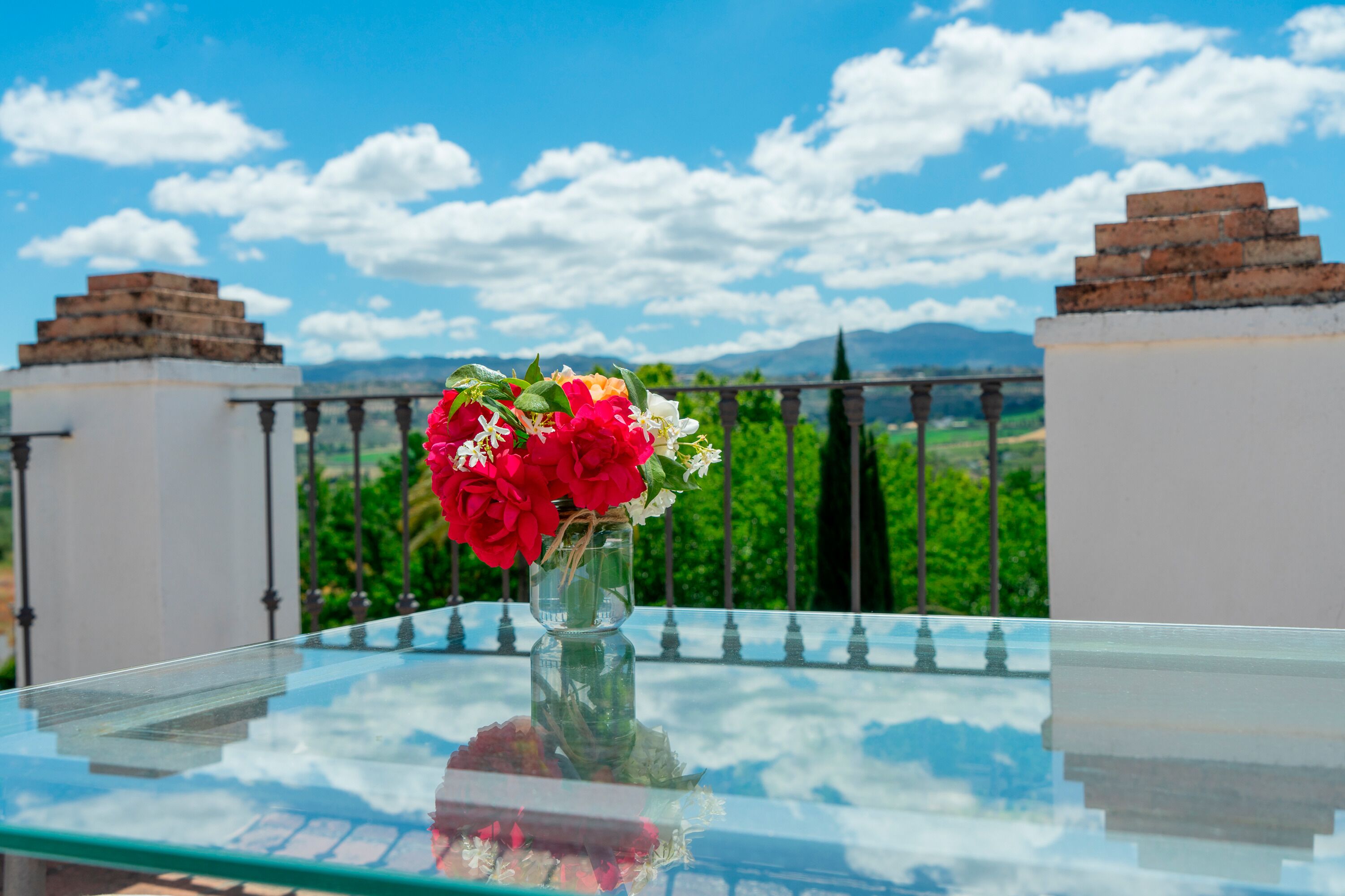 suite | view from room