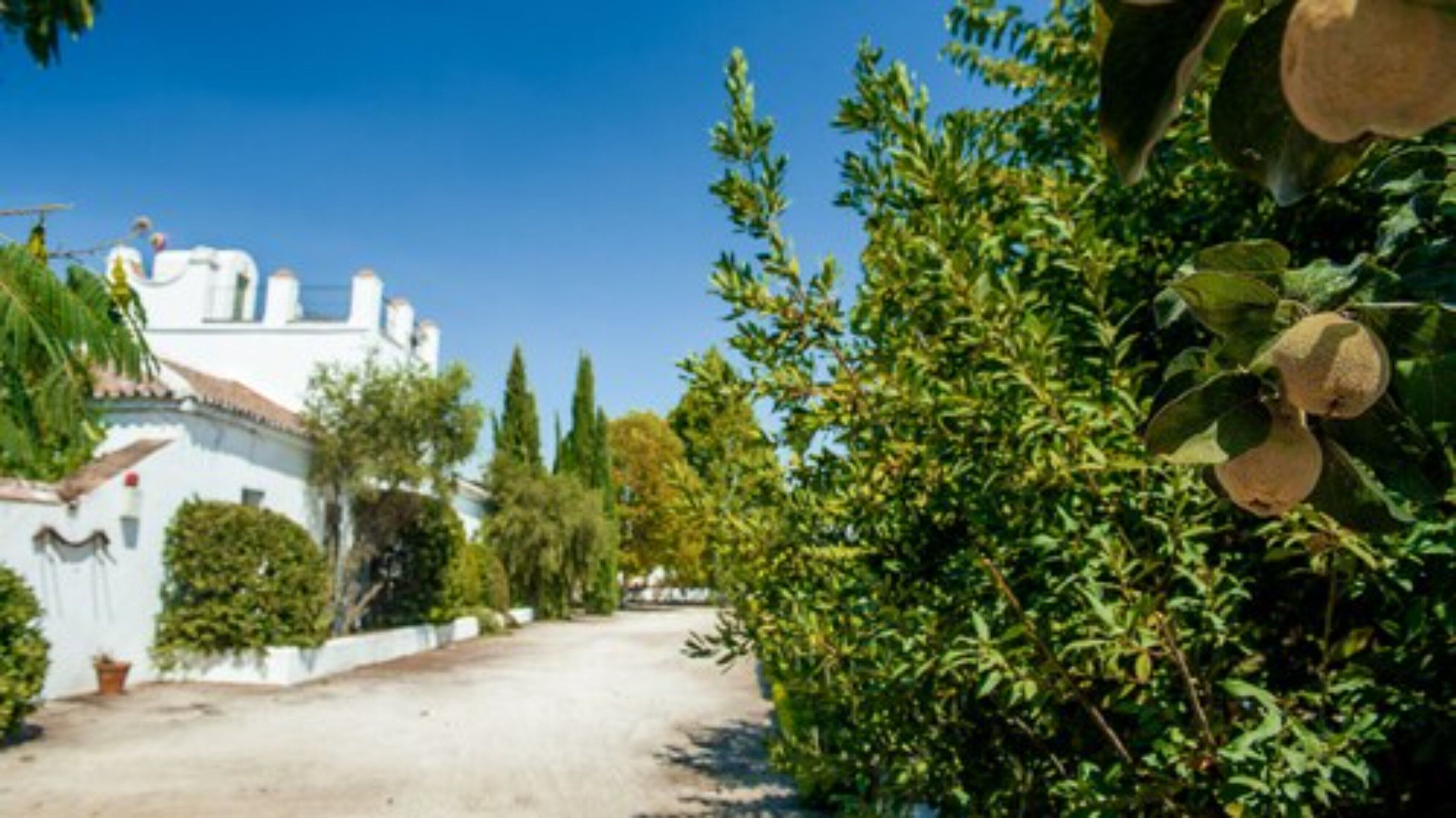 A white building with a tiled roof, surrounded by greenery and a clear sky.