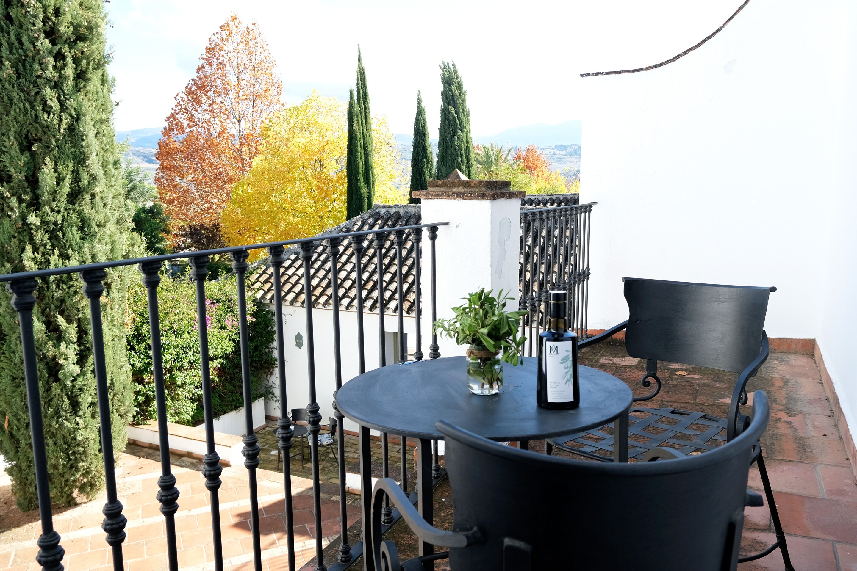 Terrasse/patio
