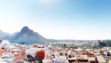 Una zona urbana densamente poblada con edificios y una montaña destacada al fondo.