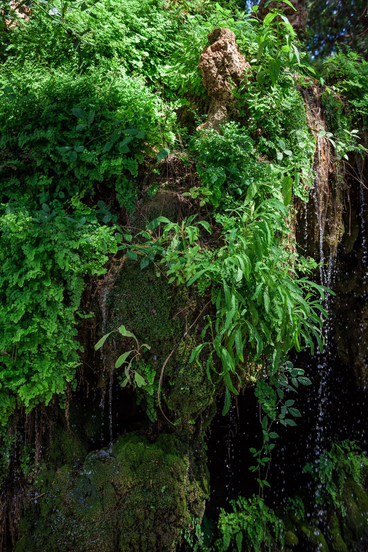 Une formation rocheuse luxuriante, recouverte de mousse, avec une petite cascade.