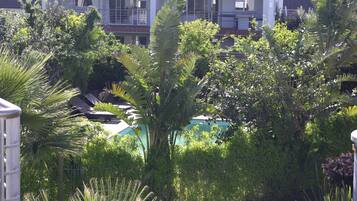 Zona residencial com uma casa rodeada por vegetação exuberante, incluindo várias árvores e plantas.