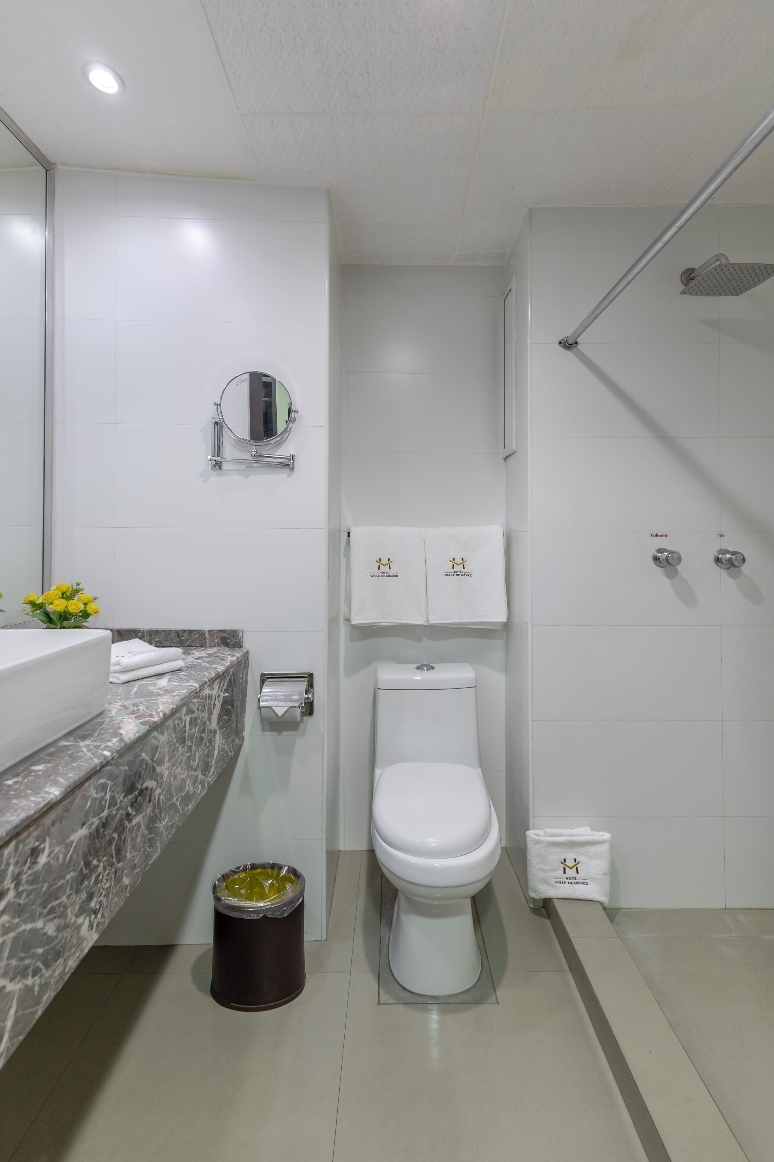 Un baño moderno con inodoro, lavamanos con encimera de mármol, espejo y zona de ducha.
