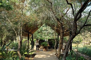 Un espacio al aire libre techado con terraza de madera, rodeado de árboles y follaje.