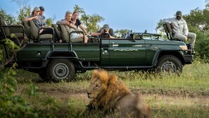 Ett safari-fordon med passagerare som iakttar vilda djur.