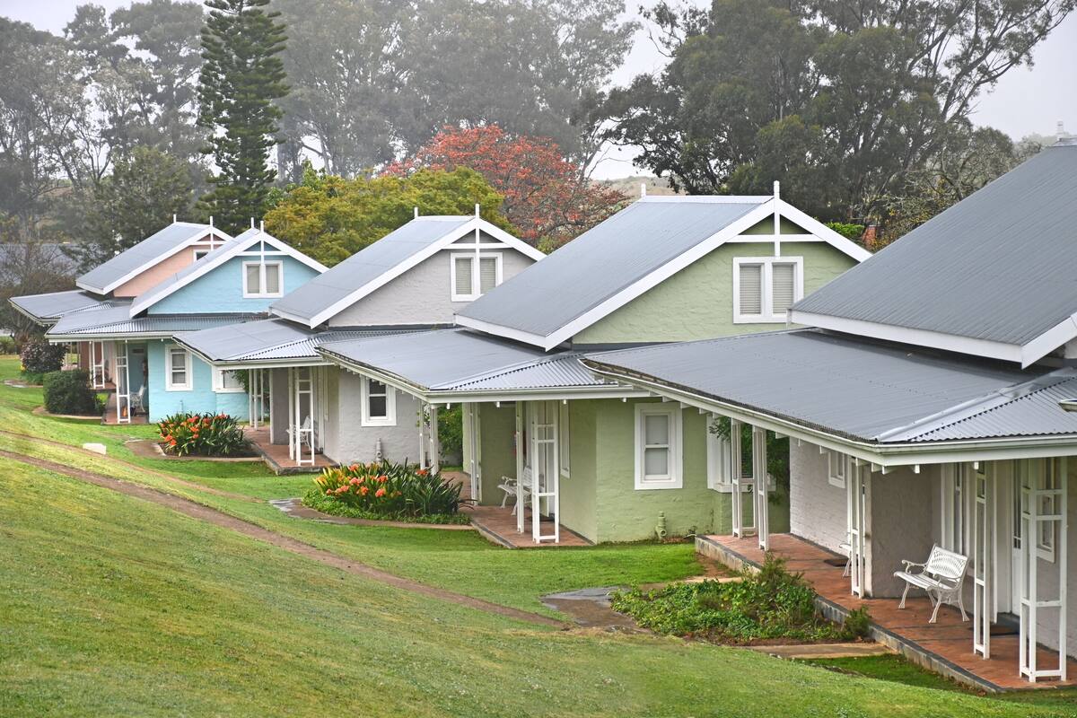 A row of houses with sloped roofs and white trim, surrounded by greenery and trees.