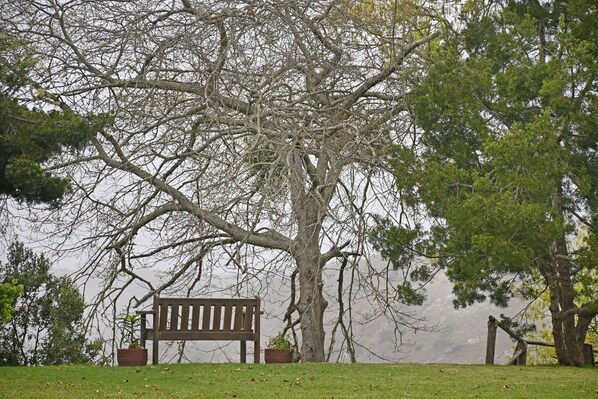 A park with a wooden bench, a large tree, and a grassy area. - Zuurberg Mountain Village (Addo)